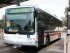 Geelong Bus