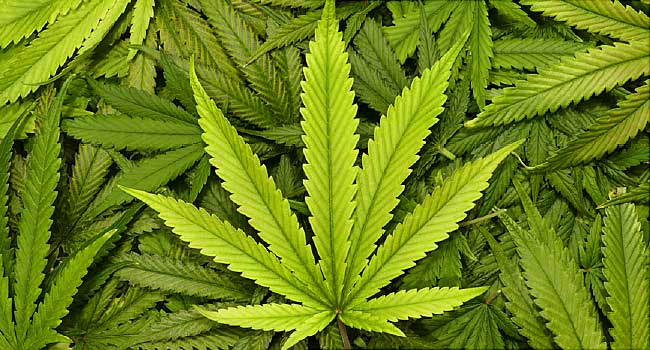 Tips and Advice on Quitting Marijuana