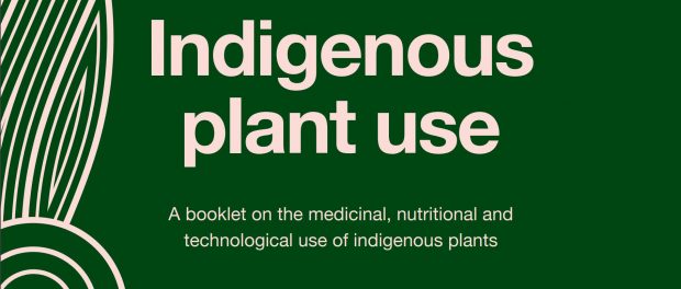 Indigenous plant use