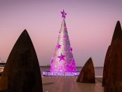 Geelong Christmas decorations in 2020 Photo: Mitchell Dye